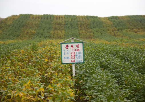 Sign placed among crops, South Hamgyong Province, Hamhung, North Korea