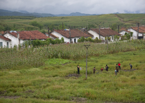 Rural farming village with North Korean people working in a field, North Hamgyong Province, Chilbosan, North Korea