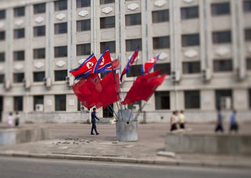 Set of North Korean flags in front of a building, Pyongan Province, Pyongyang, North Korea