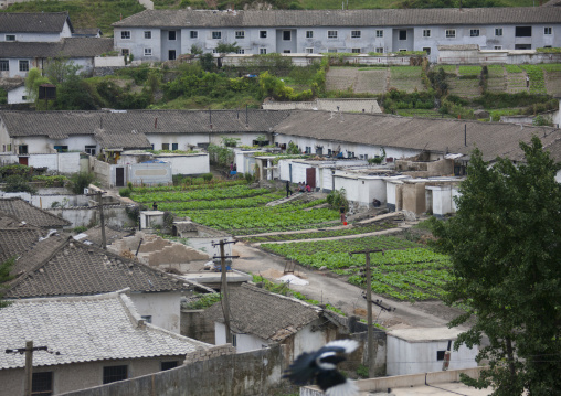 Farmers village in the countryside, North Hwanghae Province, Kaesong, North Korea