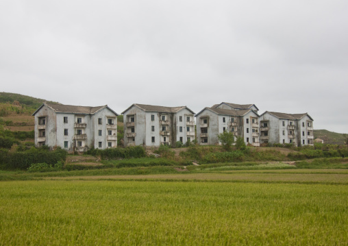 Decrepit buildings in the middle of crops in the countryside, North Hwanghae Province, Kaesong, North Korea