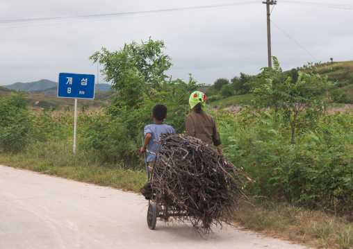 North Korean people pulling wood on a cart on a road in the countryside, North Hwanghae Province, Kaesong, North Korea