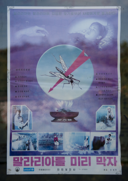 Mosquito warning and information poster in a North Korean clinic, South Pyongan Province, Chongsan-ri Cooperative Farm, North Korea