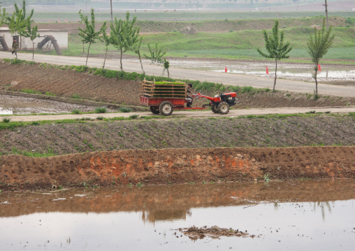 Rice harvest in the countryside, South Pyongan Province, Chongsan-ri Cooperative Farm, North Korea