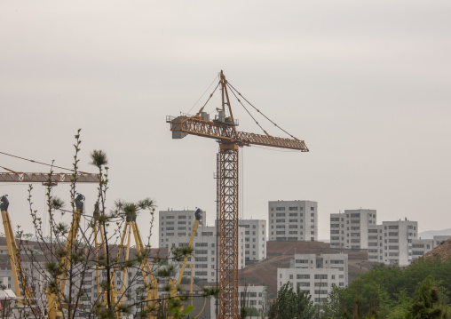 Cranes on a building site construction, South Pyongan Province, Nampo, North Korea