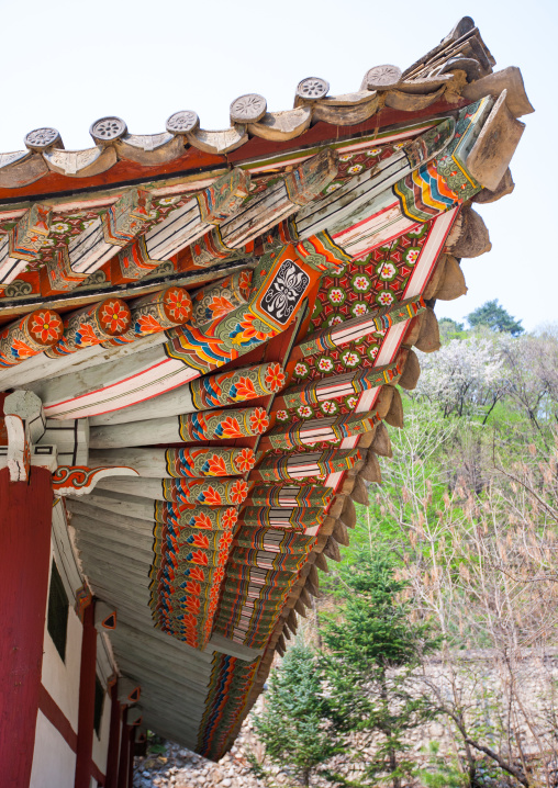 Low angle view of the painted roof in Pohyon-sa Korean buddhist temple, Hyangsan county, Mount Myohyang, North Korea