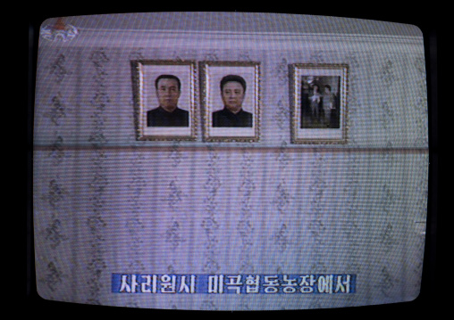 Portraits of the Dear Leaders on the North Korean television, Pyongan Province, Pyongyang, North Korea