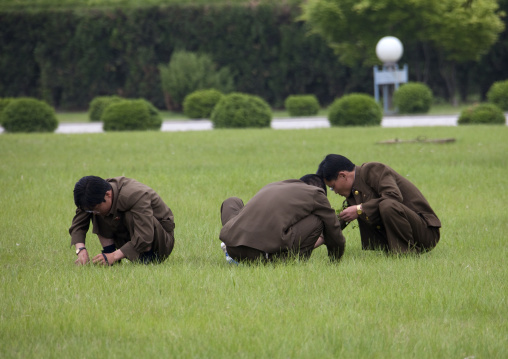 North Korean gardeners working on a lawn, Pyongan Province, Pyongyang, North Korea