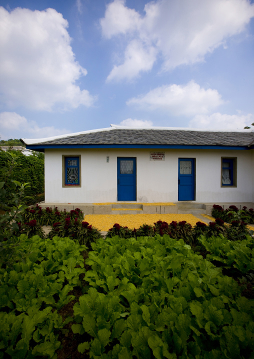 Model house that was visited by the Dear Leaders, North Hwanghae Province, Sariwon, North Korea