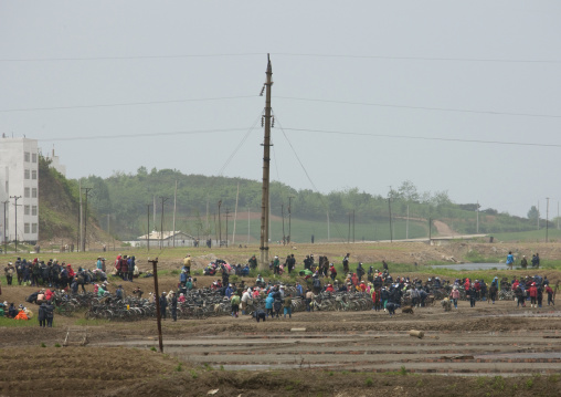 North Korean citizens gathering for collective works in a field, South Pyongan Province, Nampo, North Korea