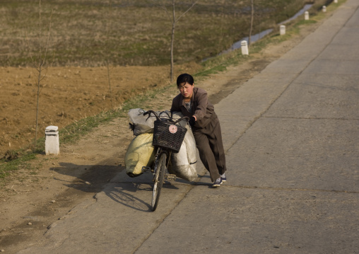 North Korean woman pushing bicycle loaded with heavy bags in the countryside, South Pyongan Province, Nampo, North Korea