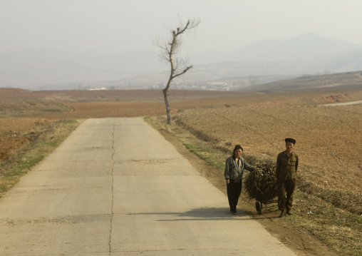 North Korean couple pushing a cart loaded with wood in the countryside, South Pyongan Province, Nampo, North Korea