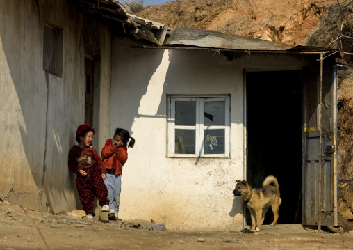North Korean children with a dog in the countryside, South Pyongan Province, Nampo, North Korea