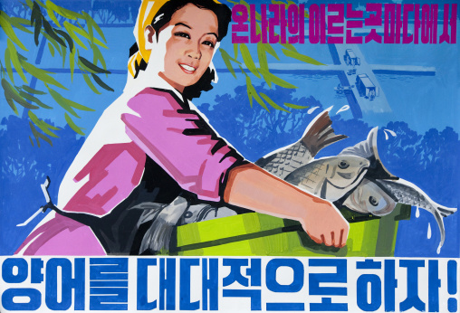 North Korean propaganda poster depicing a woman carrying fishes, Pyongan Province, Pyongyang, North Korea