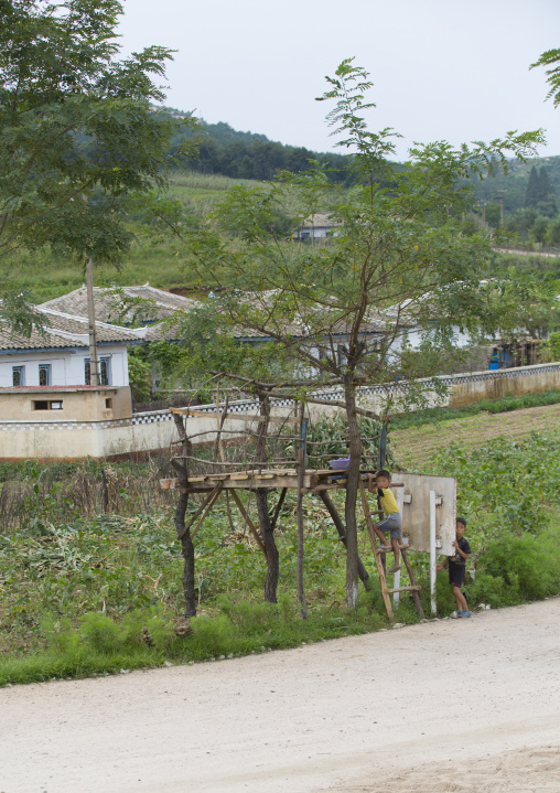North Korean children in a little shelter to monitor the fields in the countryside, North Hwanghae Province, Kaesong, North Korea