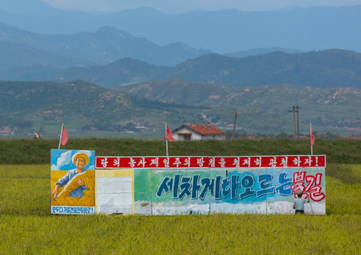 Man painting a propaganda billboard in a rice field, South Hamgyong Province, Hamhung, North Korea