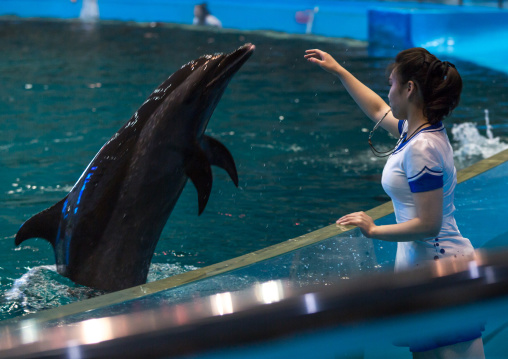 Dolphin show in Rungna dolphinarium, Pyongan Province, Pyongyang, North Korea