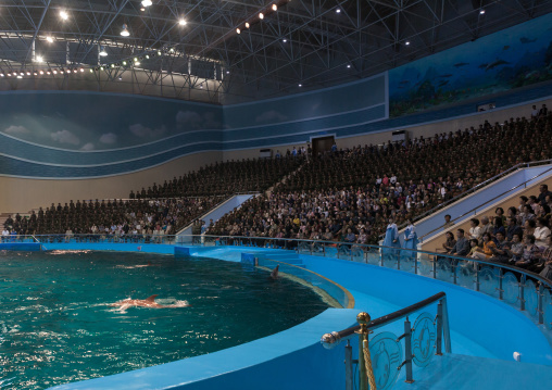 Dolphin show in Rungna dolphinarium, Pyongan Province, Pyongyang, North Korea