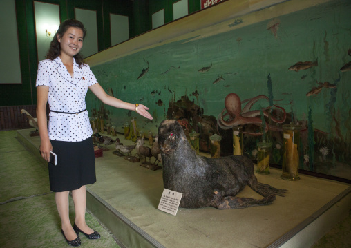 North Korean guide showing a stuffed seal offered by Kim Jong il in Songdowon international children's camp, Kangwon Province, Wonsan, North Korea