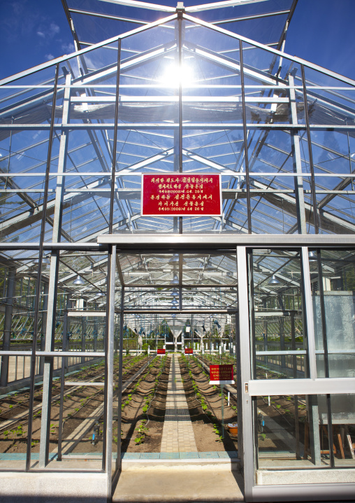 Greenhouse visited by Kim Jong il in agriculture university, South Hamgyong Province, Hamhung, North Korea