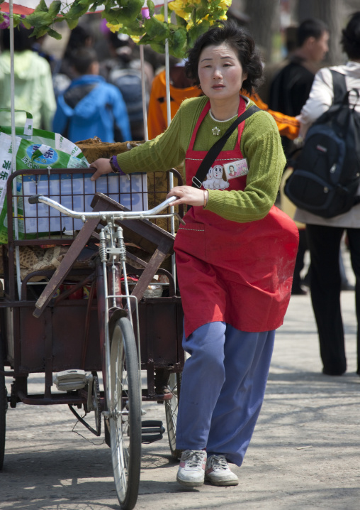 North Korean woman with a bicycle selling drinks, Pyongan Province, Pyongyang, North Korea