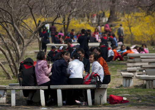 North Korean pioneers having a picnic in a park, Pyongan Province, Pyongyang, North Korea