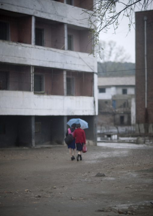 North Korean women under an umbrella, Pyongan Province, Pyongyang, North Korea
