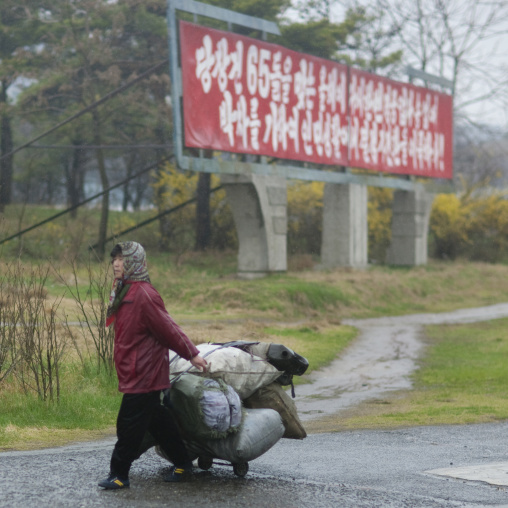 North Korean woman pulling a heavy trolley under the rain, Pyongan Province, Pyongyang, North Korea