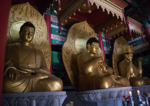 Buddha statues in Ryongthong temple founded by Korean chonthae sect of buddhism, Ogwansan, Ryongthong Valley, North Korea