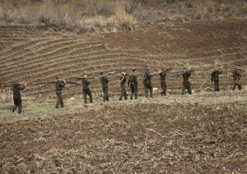 North Korean soldiers carrying wood in the countryside, North Hwanghae Province, Kaesong, North Korea