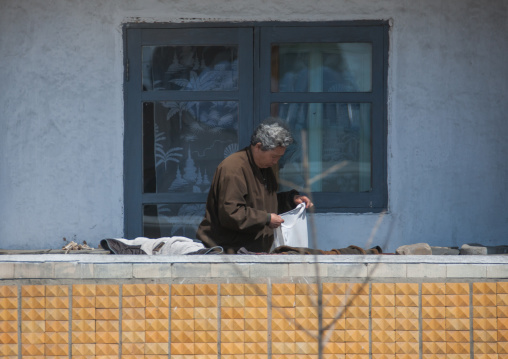 North Korean woman cleaning clothes on her balcony, Pyongan Province, Pyongyang, North Korea