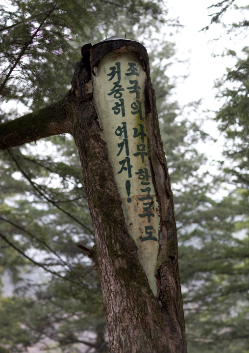 Propaganda slogan carved in Pohyon-sa Korean buddhist temple, Hyangsan county, Mount Myohyang, North Korea