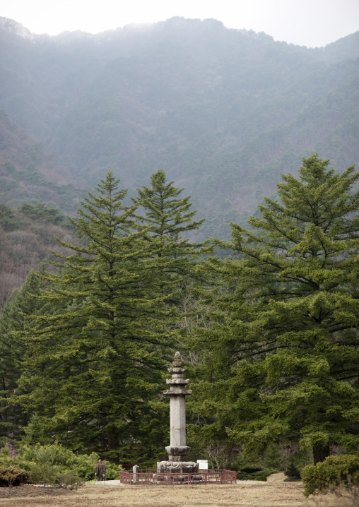 Pagoda in Pohyon-sa Korean buddhist temple, Hyangsan county, Mount Myohyang, North Korea