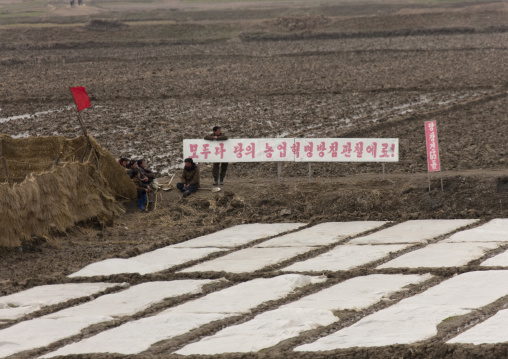 North Korean people near a propaganda billboard in a field, Pyongan Province, Pyongyang, North Korea