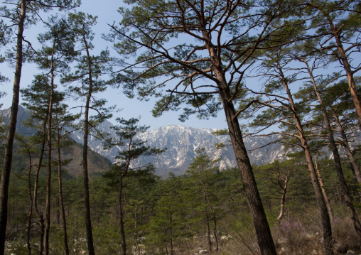 Diamond mountain landscape, Kangwon-do, Mount Kumgang, North Korea
