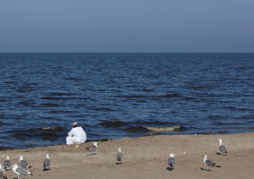 Back Of An Arabic Man Looking At Red Tide In Oman Sea Sitting Beside The Sea With Seagulls Around, Muscat, Oman