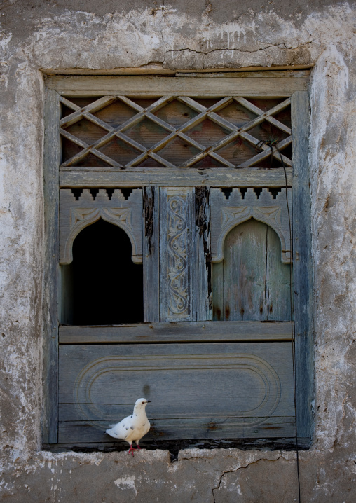 Old Blue Wooden Window With A Pigeon Standing Beside, Mirbat, Oman