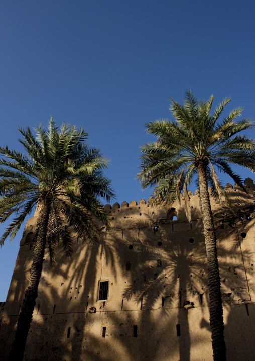 Palm Trees And Wall, Birkat Al Mauz, Oman