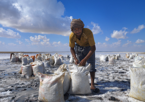 Man Collecting Salts In Barr Al Hikman Salt Lake, Oman