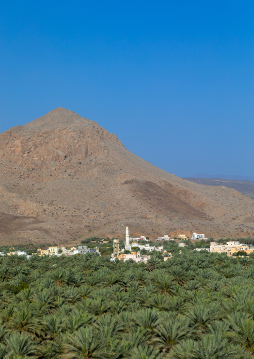 Village in an oasis in front of the mountain, Ad Dakhiliyah Region, Al Hamra, Oman