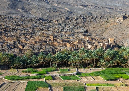 Old village in an oasis in front of the mountain, Ad Dakhiliyah Region, Riwaygh, Oman
