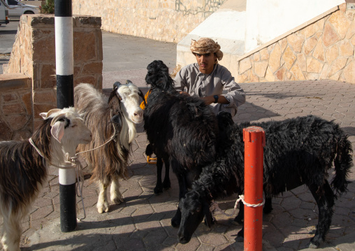 Omani man selling goats in the market, Ad Dakhiliyah Region, Nizwa, Oman