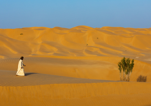 Omani man walking near a tree in the rub al khali desert, Dhofar Governorate, Rub al Khali, Oman
