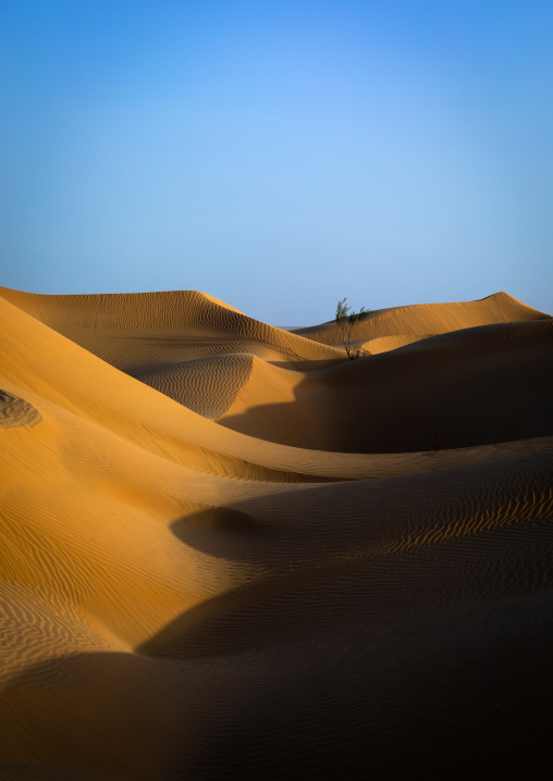 Dunes in rub al khali desert, Dhofar Governorate, Rub al Khali, Oman