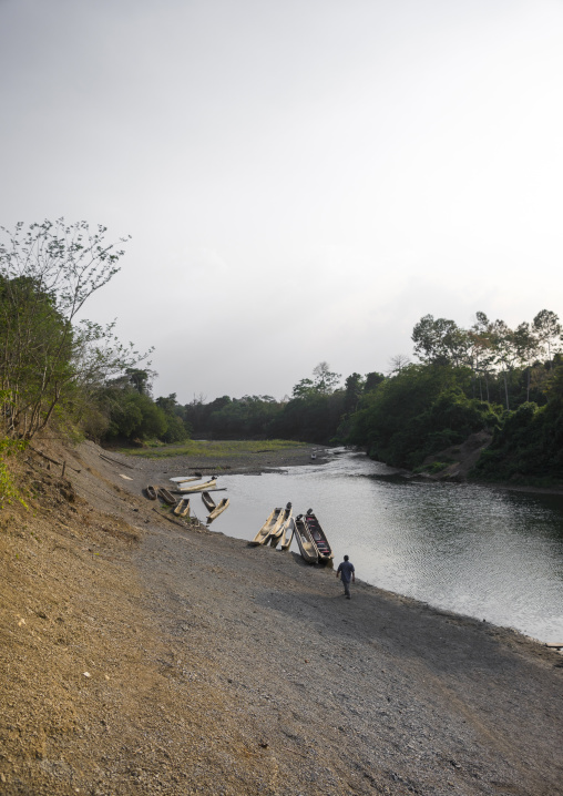 Panama, Darien Province, Alto Playona, Río Chucunaque Riverbank
