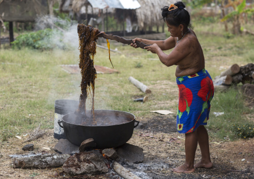 Panama, Darien Province, Puerta Lara, Wounaan Tribe Woman Usinf A Special Wood Stick To Dye Clothes