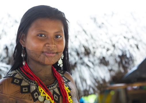 Panama, Darien Province, Bajo Chiquito, Woman Of The Native Indian Embera Tribe Portrait