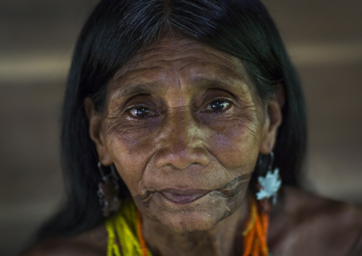 Panama, Darien Province, Bajo Chiquito, Woman Of The Native Indian Embera Tribe