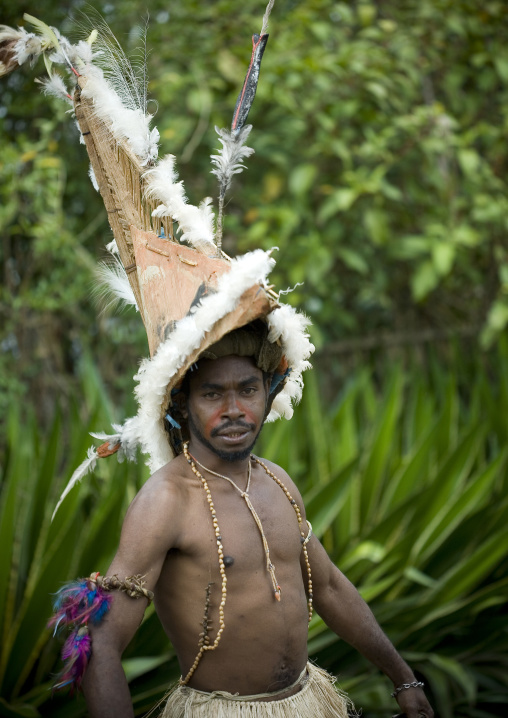 Morobe warrior during sing sing ceremony, Western Highlands Province, Mount Hagen, Papua New Guinea
