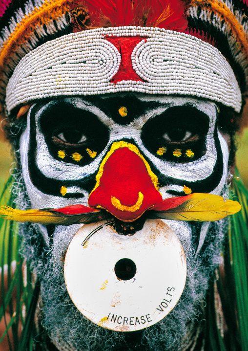 Highlander warrior with a modern nose ring decoration during a sing sing, Western Highlands Province, Mount Hagen, Papua New Guinea